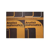 Analiza matematica, 2 vol.