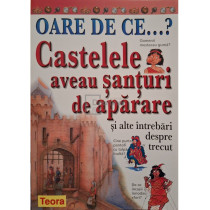 Castelele aveau santuri de aparare si alte intrebari despre trecut