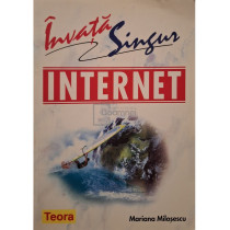 Invata singur internet