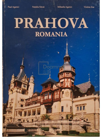 Paul Agarici - Prahova - Romania - 2004 - Cartonata