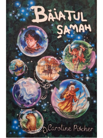 Catalin Marian Pirvu - Baiatul saman - 2010 - Brosata