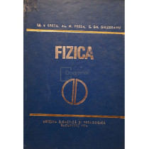 Fizica