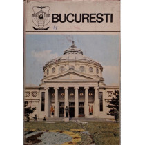 Bucuresti. Monografie