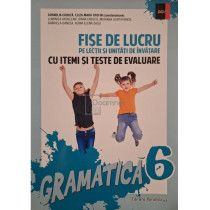 Fise de lucru pe lectii si unitati de invatare cu itemi si teste de evaluare - Gramatica 6