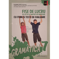 Fise de lucru pe lectii si unitati de invatare cu itemi si teste de evaluare - Gramatica 7