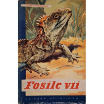 Fosile vii