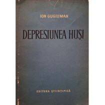 Depresiunea husi