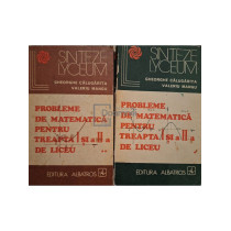 Probleme de matematica pentru treapta I si a II-a de liceu,2  vol.