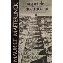 Oaspetele necunoscut