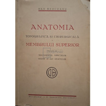 Anatomia topografica si chirurgicala a membrului superior