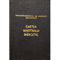 Cartea maistrului energetic