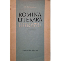 Romana literara si problemele ei principale