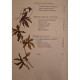 Alison R. Francis - Tehnici de tuns - 2004 - Cartonata