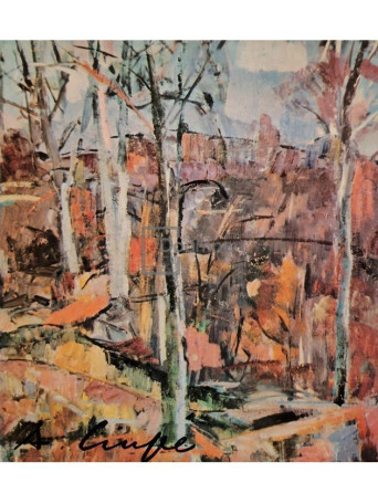 Raoul Sorban - Aurel Ciupe - 1967 - Cartonata