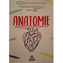 Anatomie