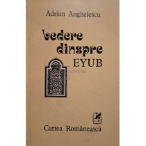 Vedere dinspre EYUB