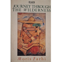 Journey through the wilderness