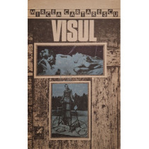 Visul