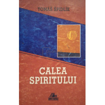 Calea spiritului