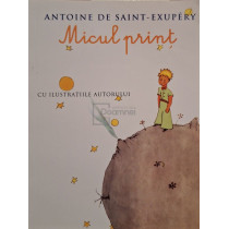 Micul print