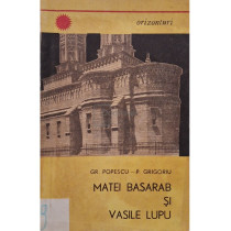 Matei Basarab si Vasile Lupu
