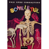 Pasi spre cunoastere - Scheletul
