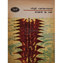 Scara la cer