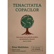 Tenacitatea copacilor