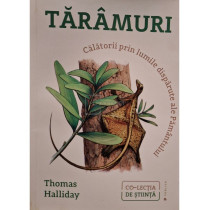 Taramuri