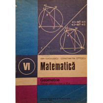 Matematica: geometrie - Manual pentru clasa a VI-a