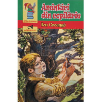 Amintiri din copilarie