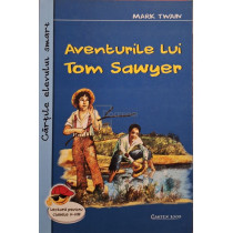 Aventurile lui Tom Sawyer
