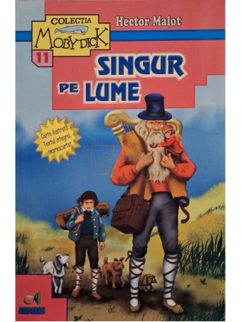 Hector Malot - Singur pe lume - 2020 - Brosata