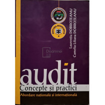 Audit - Concepte si practici