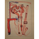 V. G. Eliseev - Atlas al structurii microscopice a tesuturilor si organelor - 1961 - Cartonata