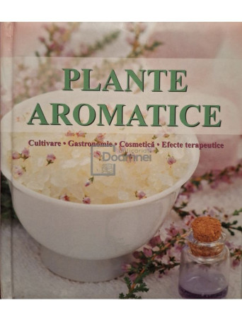 Andrea Rausch - Plante aromatice - 2010 - Cartonata