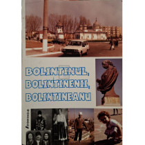 Bolintinul, bolintinenii, Bolintineanu