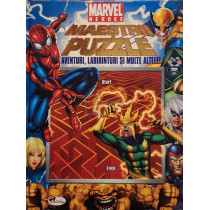 Maestrii puzzle