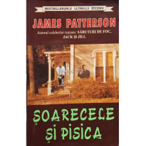 Soarecele si pisica