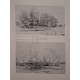 Alexei Savinov - Shishkin - Cartonata