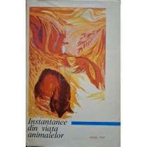 Instantanee din viata animalelor