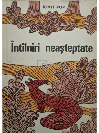 Ionel Pop - Intalniri neasteptate - 1970 - Brosata