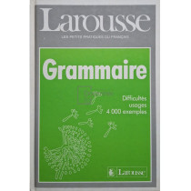 Larousse - Grammaire - Difficultes usages 4000 exemples