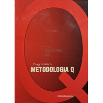 Metodologia Q