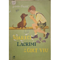 Soareci, lacrimi si un colt viu