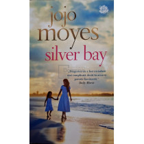Silver bay
