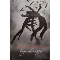 Ingerul noptii