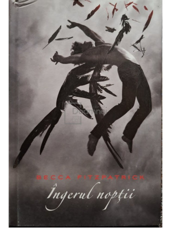 Becca Fitzpatrick - Ingerul noptii - 2010 - Cartonata (hardcover)