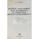 L. Bejan - Bazele anatomice ale plamanului in practica medico-chirurgicala - 1978 - Cartonata