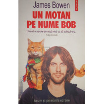 Un motan pe nume Bob
